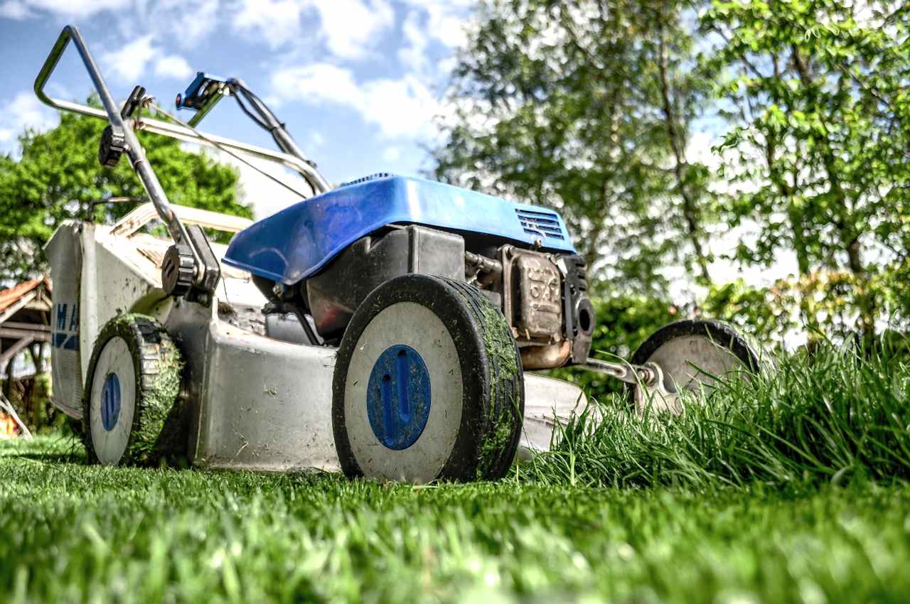 lawnmower, gardening, lawn-mower